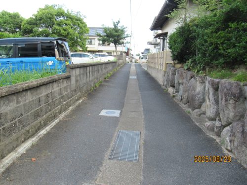 南